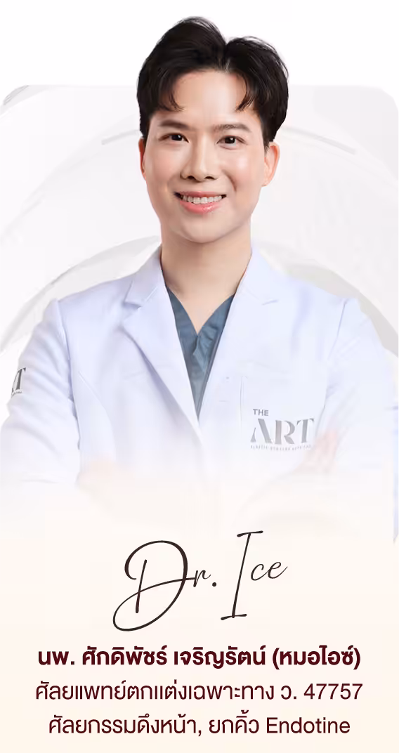 Dr Ice The Art