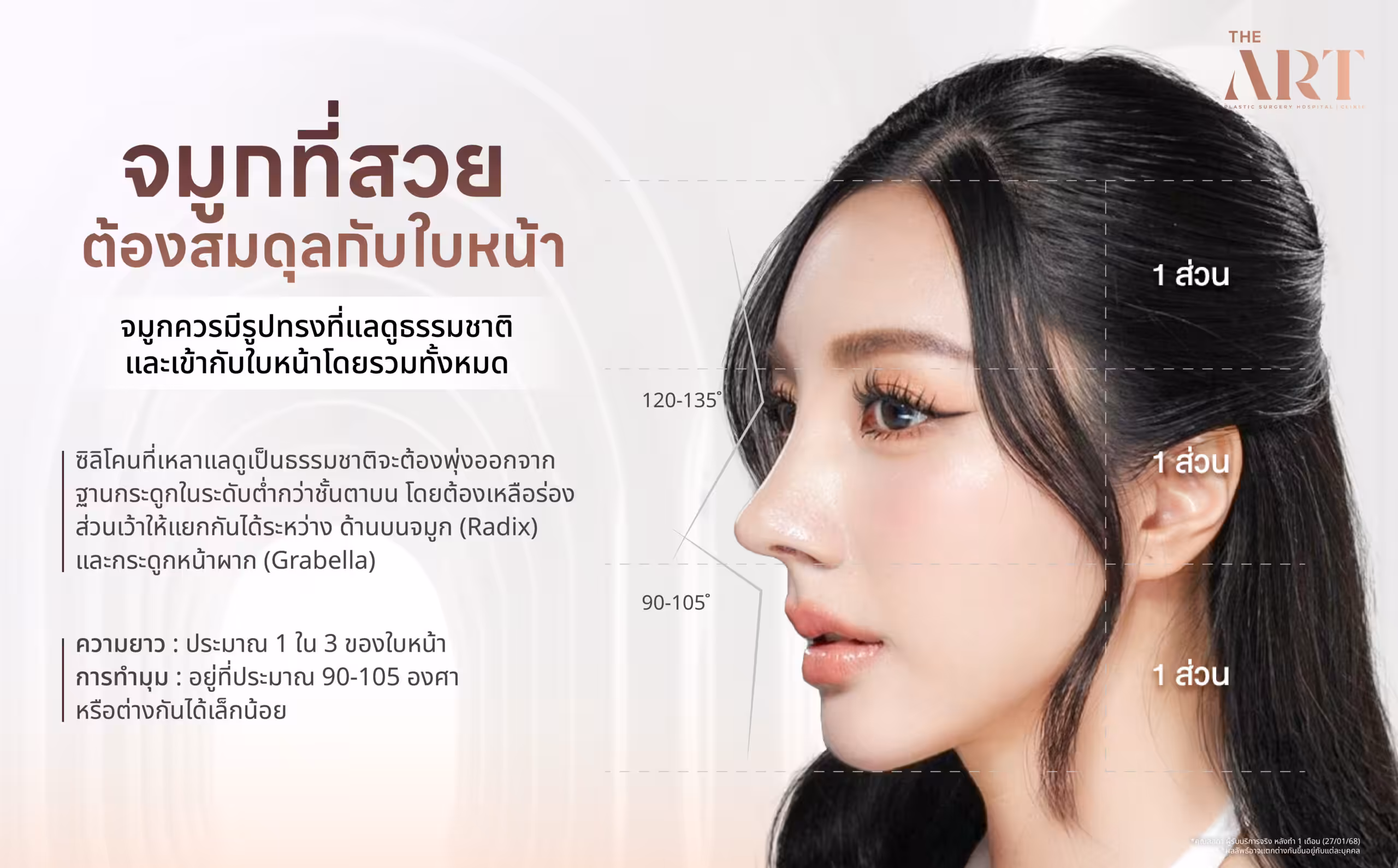 จมูกที่สวยต้องสมดุลกับใบหน้า ภาพอธิบายโครงสร้างจมูกที่เหมาะสม เช่น ความยาว สันจมูก และองศาปลายจมูก เพื่อให้ได้ทรงจมูกที่ดูเป็นธรรมชาติและเข้ากับรูปหน้าทั้งหมด เหมาะสำหรับผู้ที่กำลังศึกษาข้อมูลการเสริมจมูกให้ได้รูปทรงที่สวยงาม